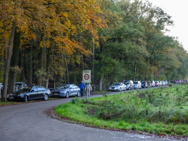 Wordt toegang tot Drongengoed beperkt?
